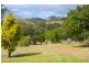 847 Weabonga Road, Limbri NSW 2352