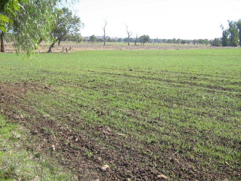 111 Meldorn Lane, Tamworth NSW 2340