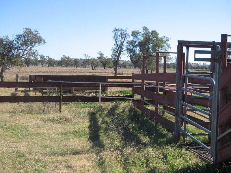 111 Meldorn Lane, Tamworth NSW 2340