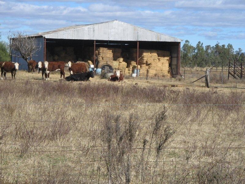 111 Meldorn Lane, Tamworth NSW 2340