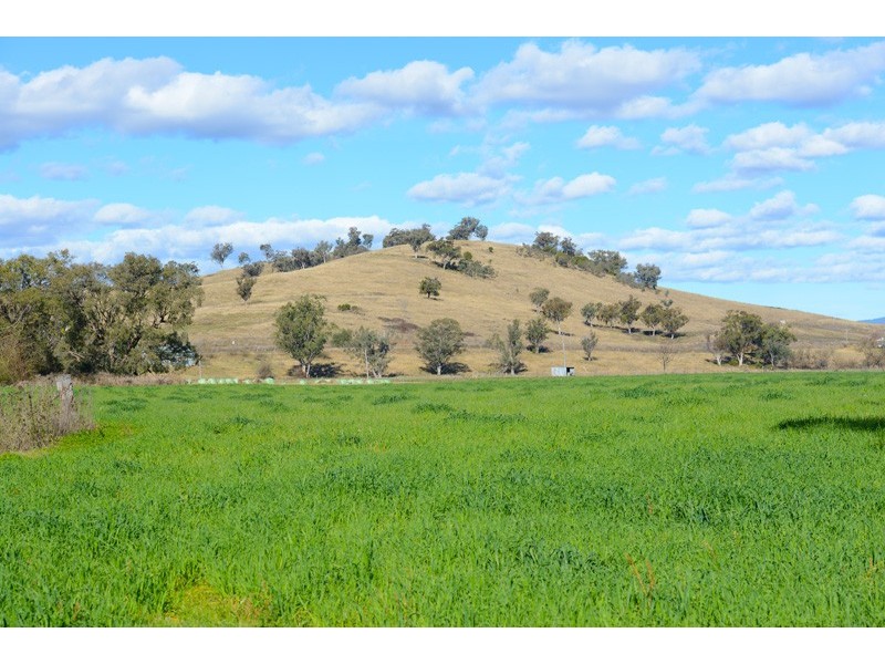 1820 Nundle Road, Dungowan NSW 2340