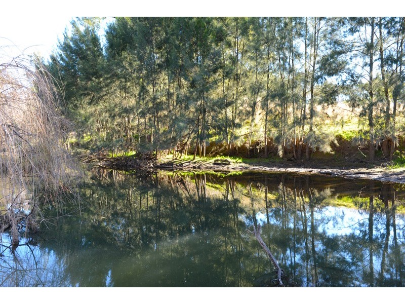 1820 Nundle Road, Dungowan NSW 2340