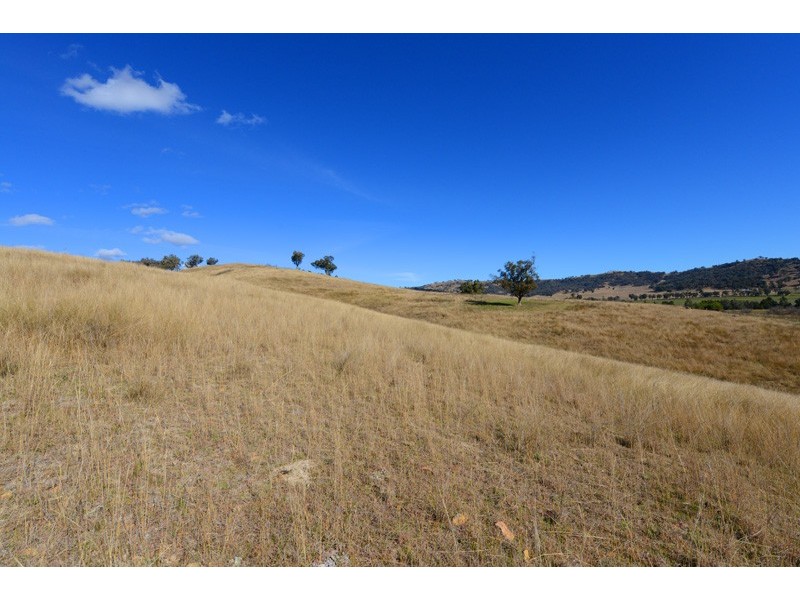 1820 Nundle Road, Dungowan NSW 2340