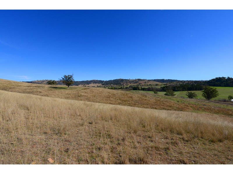 1820 Nundle Road, Dungowan NSW 2340