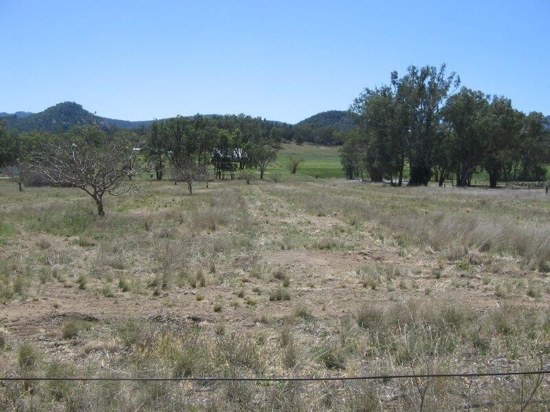 160 Thomas Street, Moonbi NSW 2353