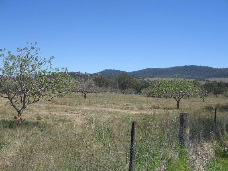 160 Thomas Street, Moonbi NSW 2353