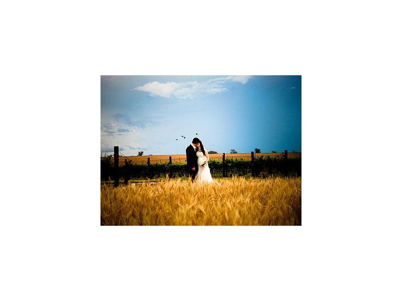 340 Old Winton Road, Tamworth NSW 2340