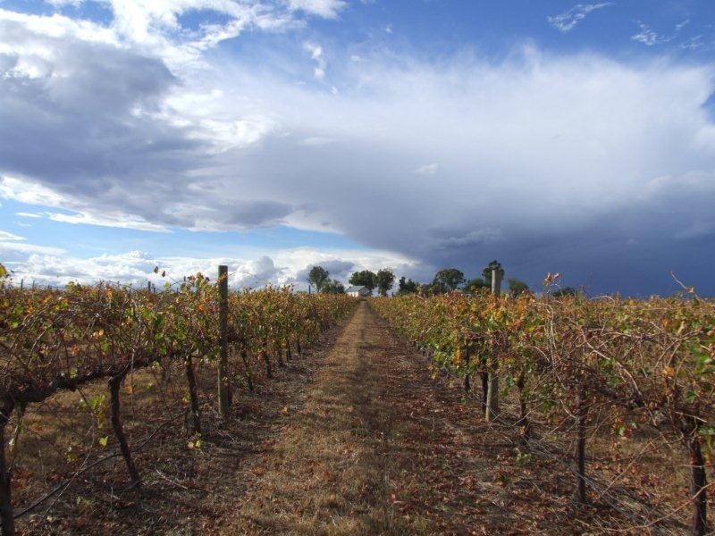 340 Old Winton Rd, Tamworth NSW 2340