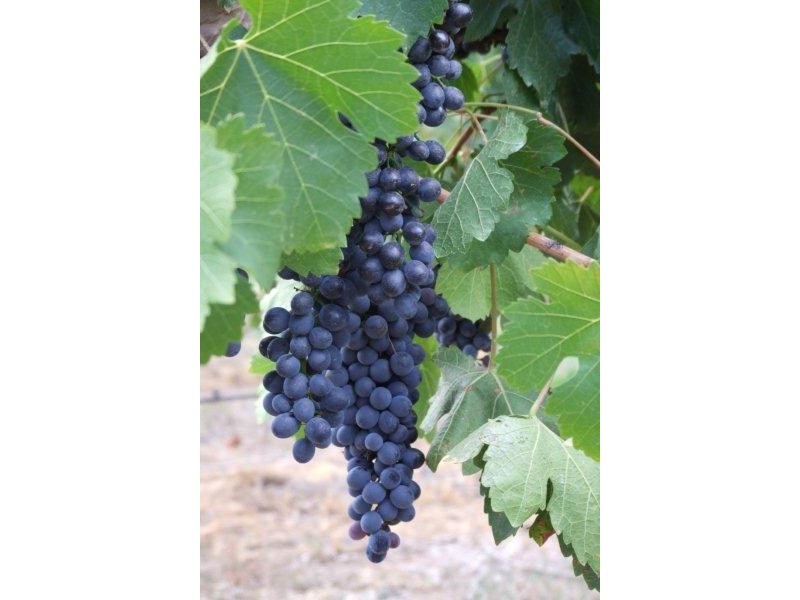 340 Old Winton Rd, Tamworth NSW 2340