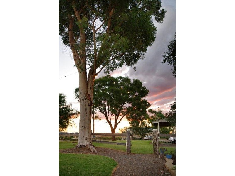 340 Old Winton Rd, Tamworth NSW 2340