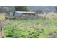 ‘Glencoe’ Ogunbil Road, Dungowan NSW 2340
