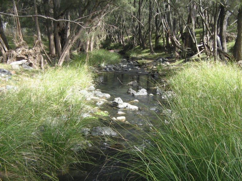 Lot 10 Bungandore Spur Rd, Watsons Creek NSW 2355