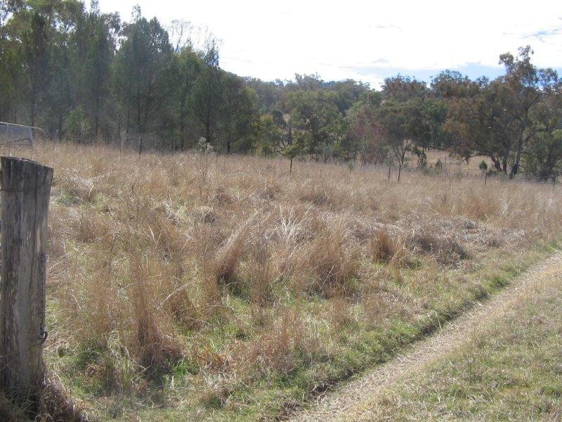 Lot 10 Bungandore Spur Rd, Watsons Creek NSW 2355
