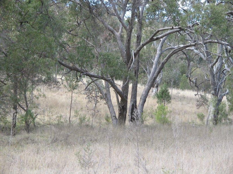 Lot 10 Bungandore Spur Rd, Watsons Creek NSW 2355