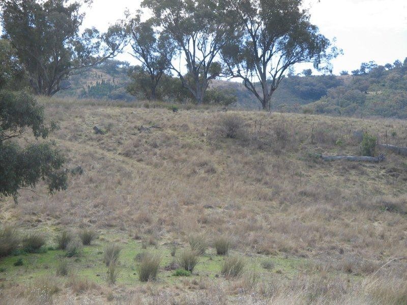 Lot 10 Bungandore Spur Rd, Watsons Creek NSW 2355