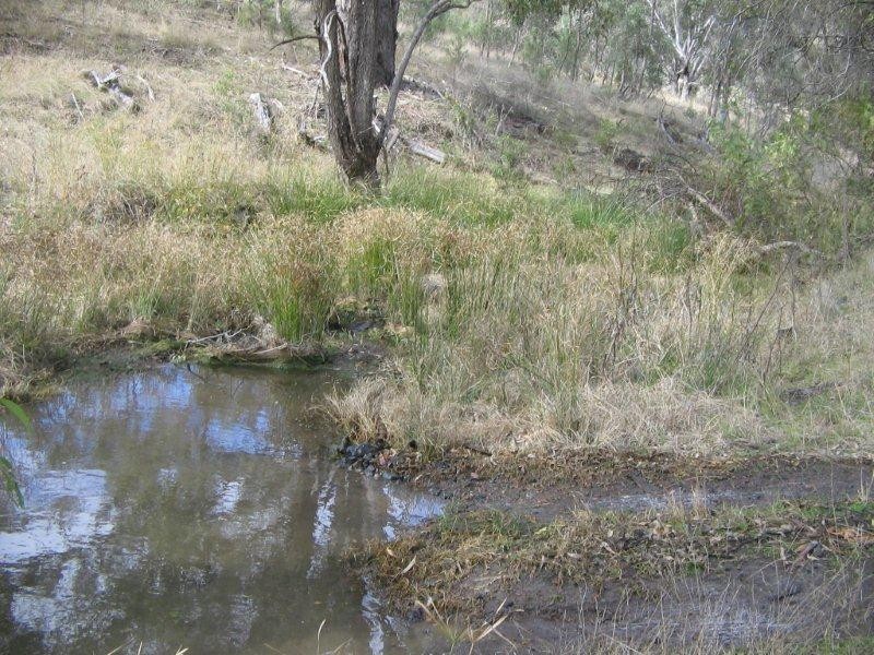 Lot 10 Bungandore Spur Rd, Watsons Creek NSW 2355