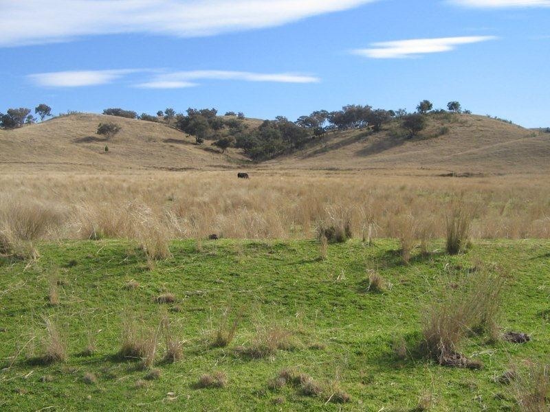 Lot 211 Halls Creek Road, Tamworth NSW 2340