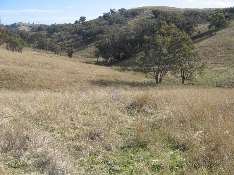 Lot 211 Halls Creek Road, Tamworth NSW 2340