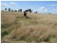 1666 Oxley Highway, Tamworth NSW 2340