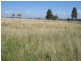 1666 Oxley Highway, Tamworth NSW 2340