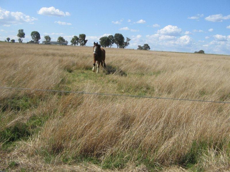 1666 Oxley Highway, Tamworth NSW 2340