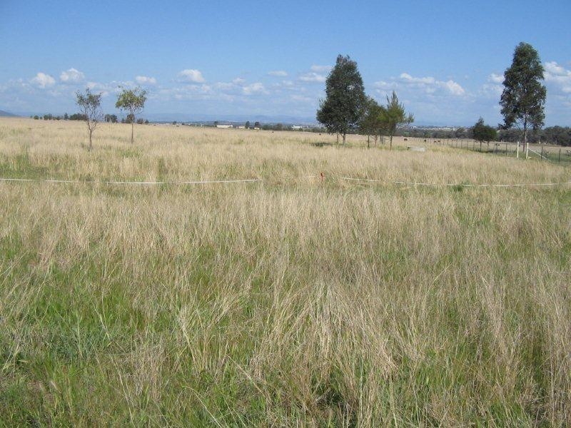1666 Oxley Highway, Tamworth NSW 2340