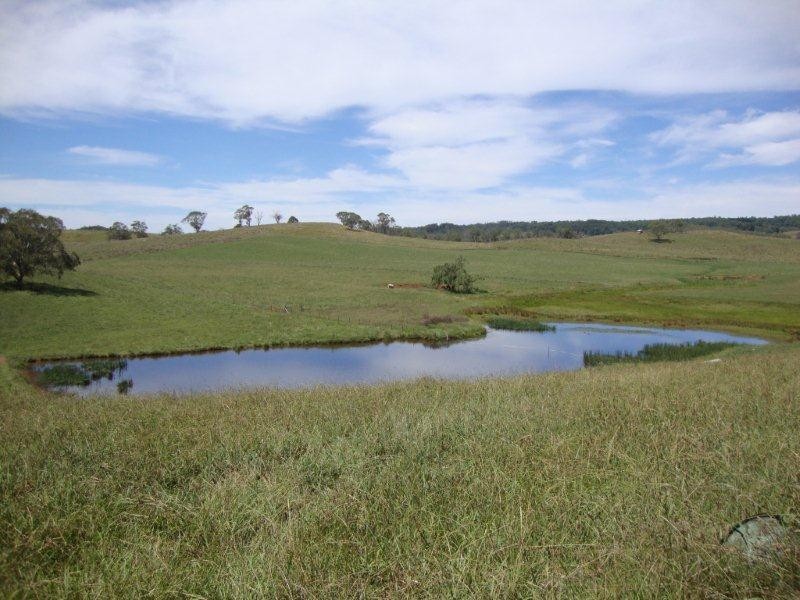 7574 Thunderbolts Way, Nowendoc NSW 2354