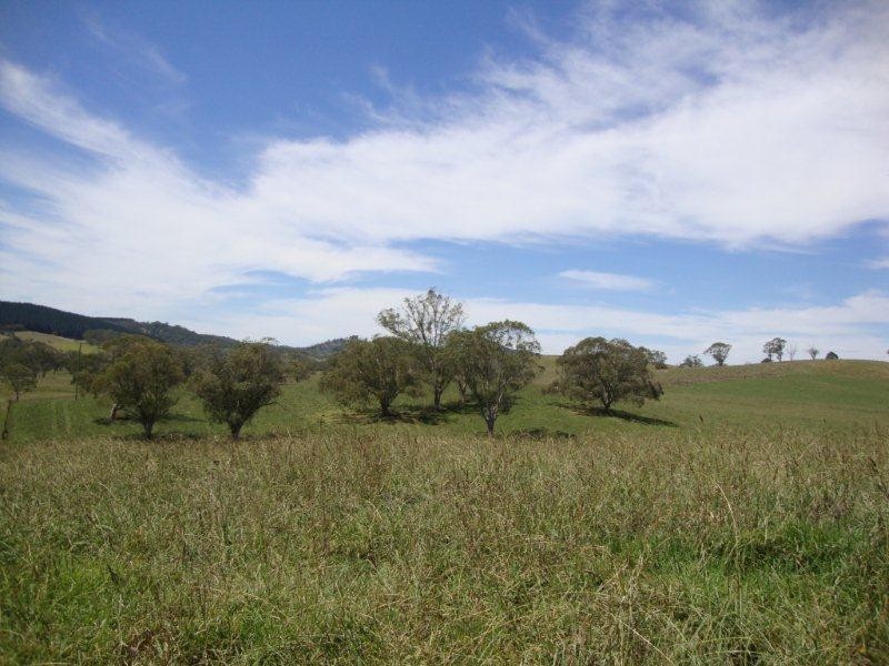7574 Thunderbolts Way, Nowendoc NSW 2354