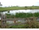 7574 Thunderbolts Way, Nowendoc NSW 2354