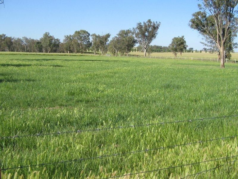 210 Gowrie Road, Tamworth NSW 2340