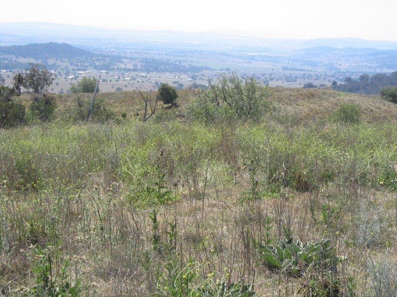 430 Daruka Road, Tamworth NSW 2340