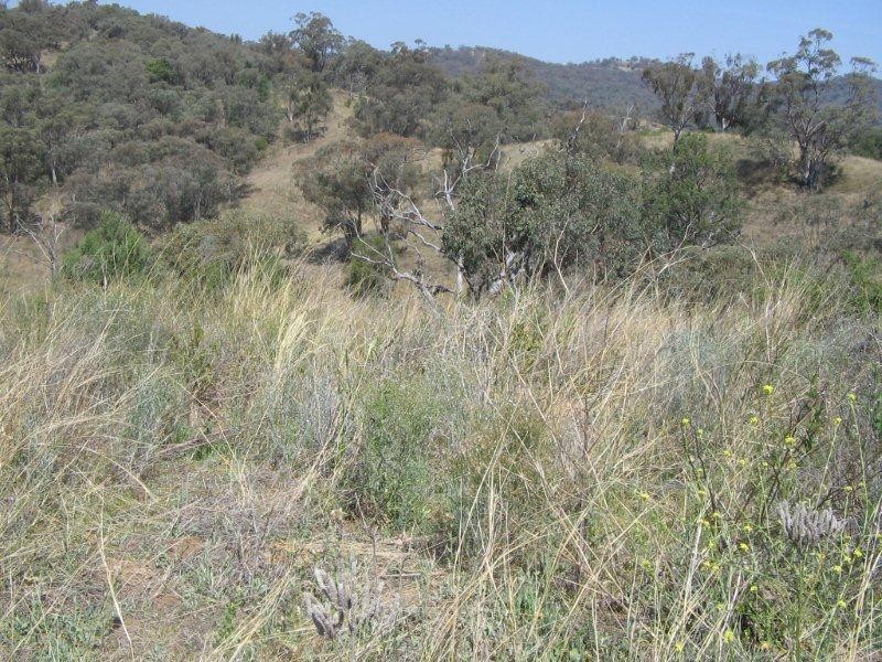 430 Daruka Road, Tamworth NSW 2340