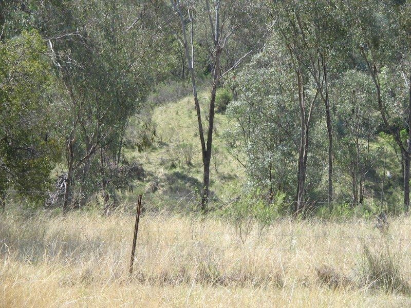 430 Daruka Road, Tamworth NSW 2340