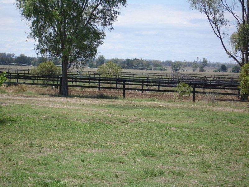 171 Lower Somerton Road, Attunga NSW 2345
