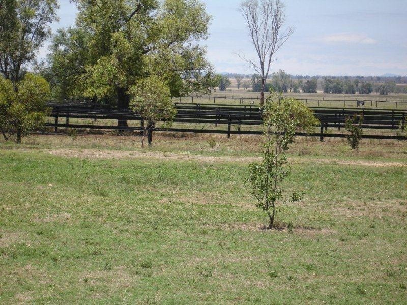171 Lower Somerton Road, Attunga NSW 2345