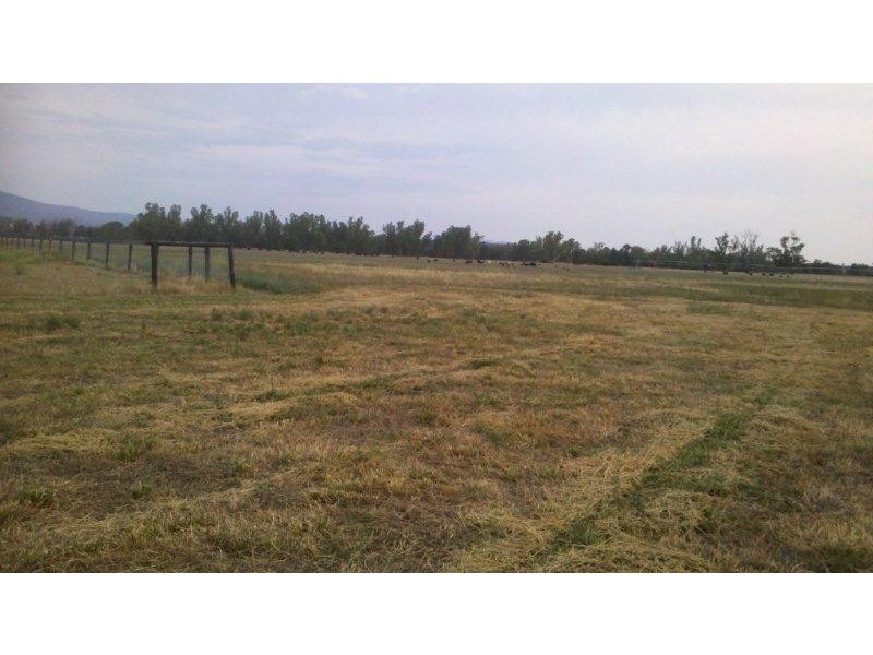 171 Lower Somerton Road, Attunga NSW 2345