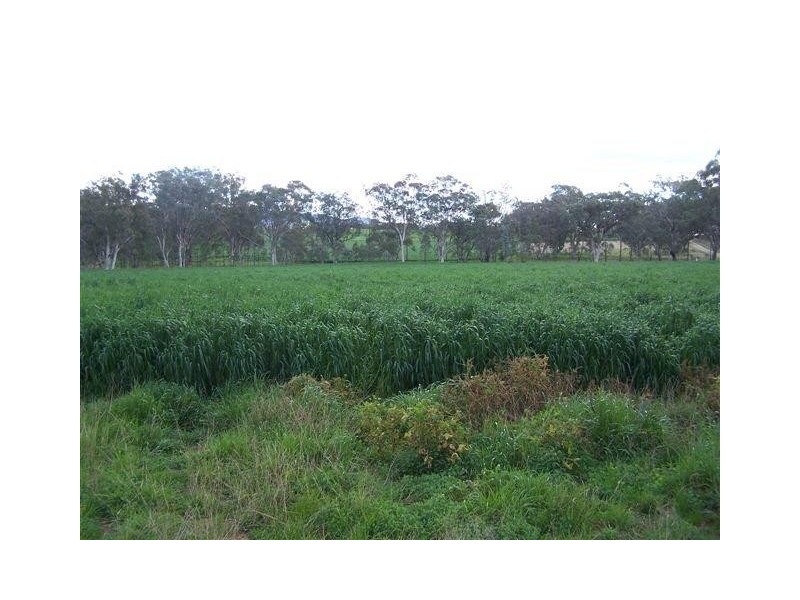 555 Bartons Lane, Duri NSW 2344