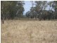 555 Bartons Lane, Duri NSW 2344