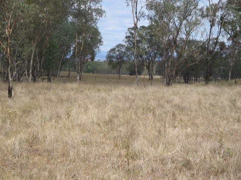555 Bartons Lane, Duri NSW 2344
