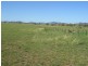 585 Heiligmans Lane, Tamworth NSW 2340
