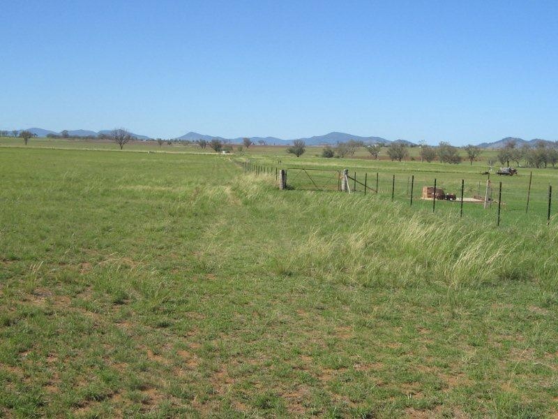 585 Heiligmans Lane, Tamworth NSW 2340