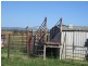 585 Heiligmans Lane, Tamworth NSW 2340