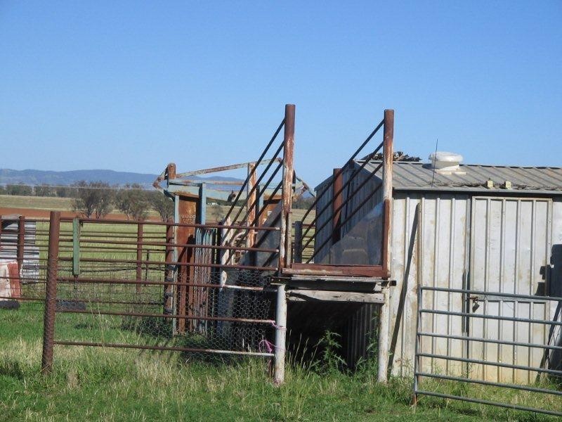 585 Heiligmans Lane, Tamworth NSW 2340