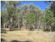 1534 Duncans Creek Road, Woolomin NSW 2340