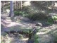 1534 Duncans Creek Road, Woolomin NSW 2340