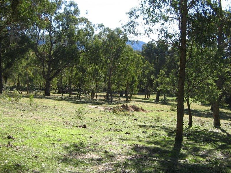 1534 Duncans Creek Road, Woolomin NSW 2340