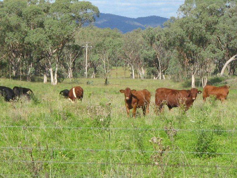 617 Bartons Lane, Duri NSW 2344