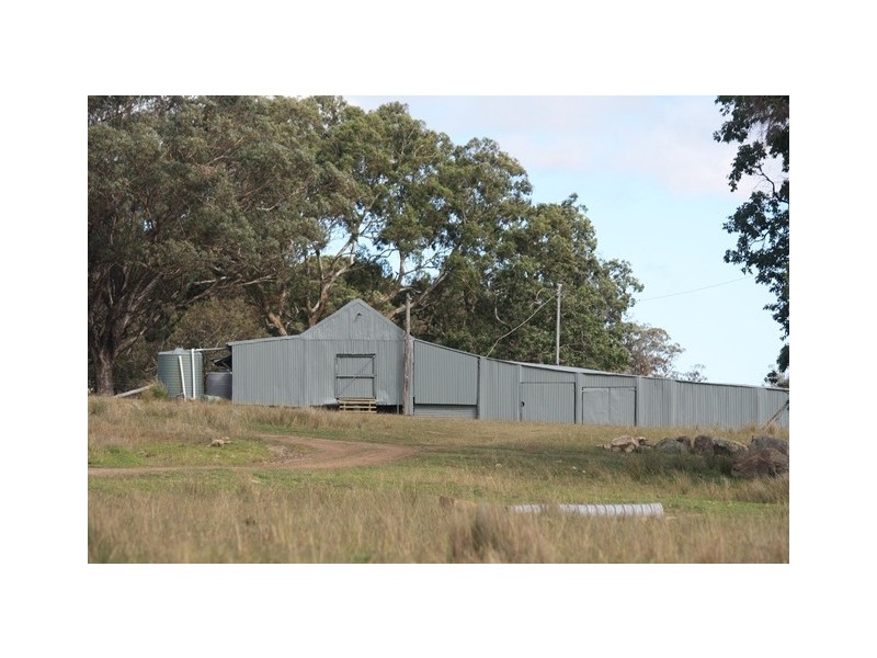 “Roseneath” Roseneath Rd, Watsons Creek NSW 2355