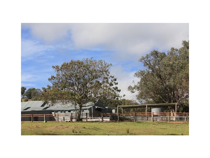 “Roseneath” Roseneath Rd, Watsons Creek NSW 2355