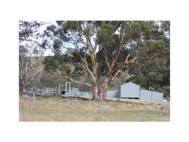 “Roseneath” Roseneath Rd, Watsons Creek NSW 2355